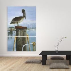 Canvas 40 x 60 - Pelican