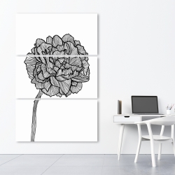 Canvas 40 x 60 - Peony line