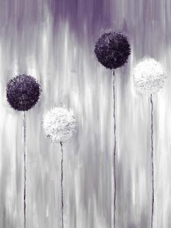 Purple allium flowers