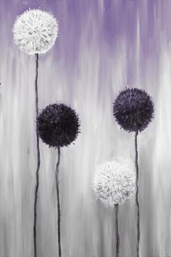 Fleur d'allium blanches et mauve