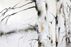 Winter birches