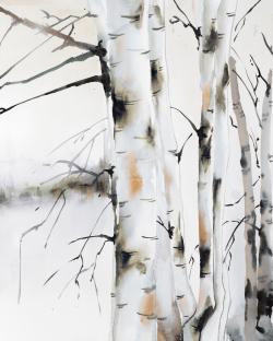 Winter birches