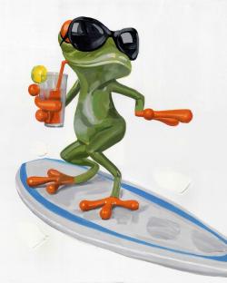Funny frog surfing