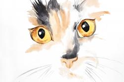 Watercolor cat face closeup