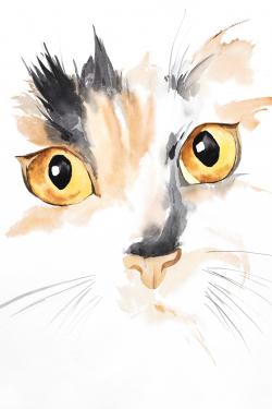 Watercolor cat face closeup