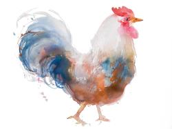 Coq à l'aquarelle