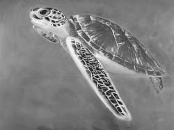 Grayscale sea turtle
