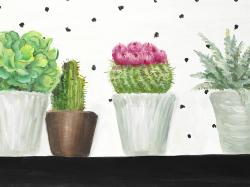 Mini cactus and succulents