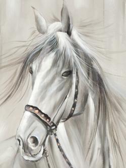 Worthy white horse