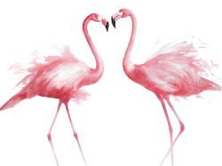 Two pink flamingo watercolor