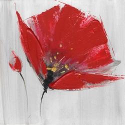 Two red flowers on gray background