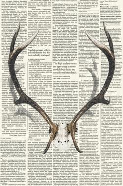 Deer horns with newspaper