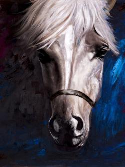 White horse on blue background