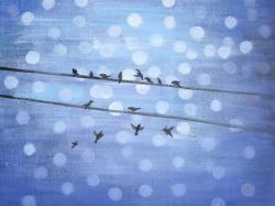 Birds on glittering blue sky