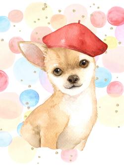 Chien chihuahua artiste