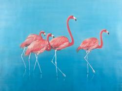 Four flamingos