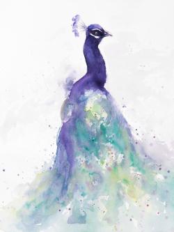 Abstract peacock in watercolor