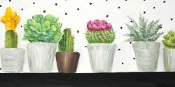 Mini cactus and succulents