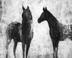 Black and white horses