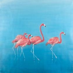 Four flamingos