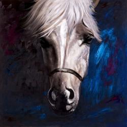 White horse on blue background