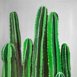 Cactus candles