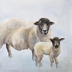 Mouton et son bébé