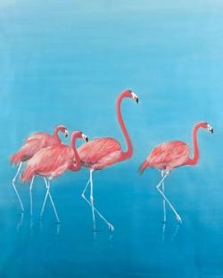 Four flamingos