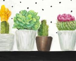 Mini cactus and succulents