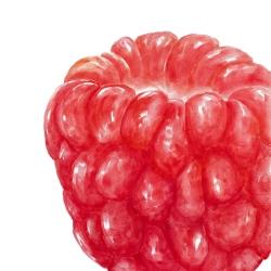 Framboise