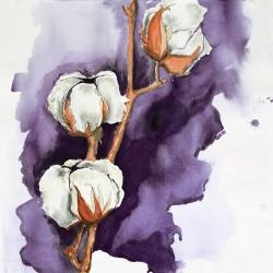 Cotton flowers on a purple background