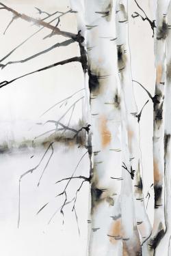 Winter birches