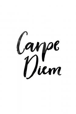 Carpe diem