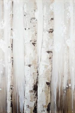 Abstract white birches