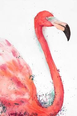 Splashing flamingo