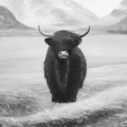 Monochrome highland cow