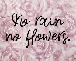 No rain no flowers