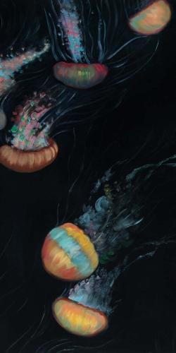 Colorful jellyfishes swimming in the dark