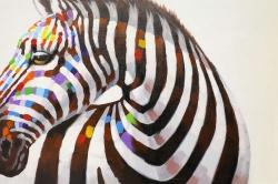 Colorful zebra