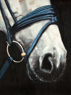 Horse with harness