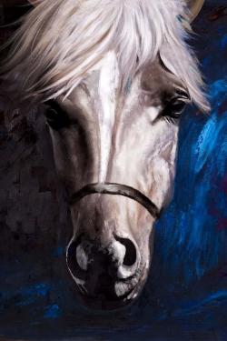 White horse on blue background