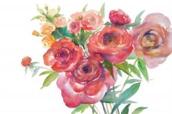 Watercolor bouquet of flowers