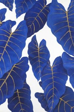 Tropical abstract blue leaves