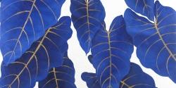 Tropical abstract blue leaves