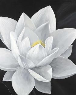 Overhead view of a lotus flower