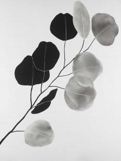 Grayscale branch with round shape leaves