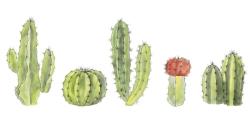 Watercolor small cactus set