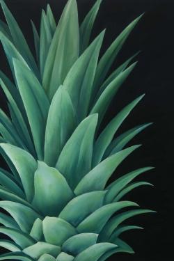 Pineapple leaves