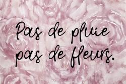 Pas de pluie pas de fleurs