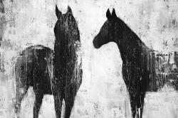 Black and white horses